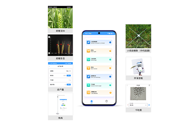 鹰潭市小麦表型检测仪IN-XM04